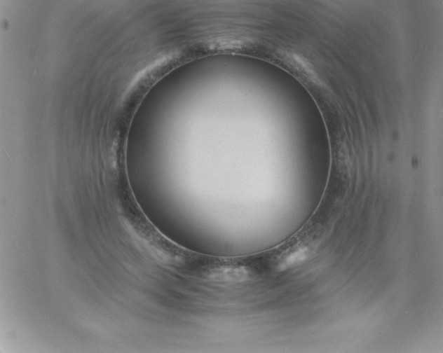 X0000060750543200511241705