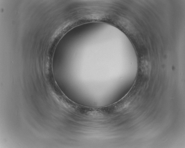 X0000060750544200511241706