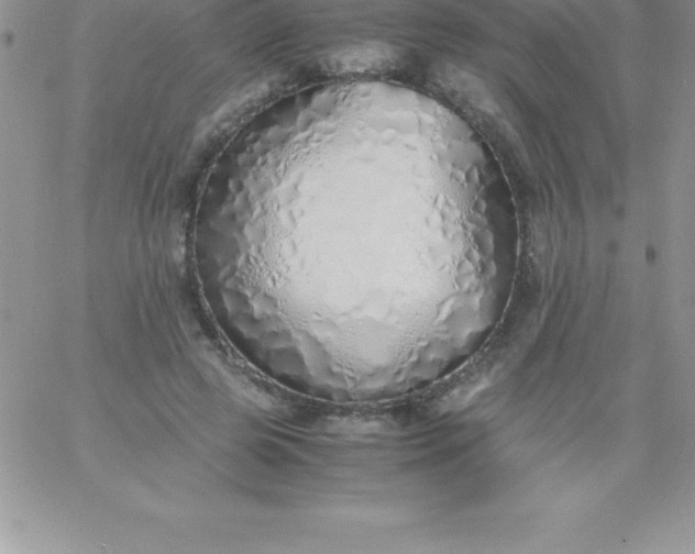 X0000060750545200511241706