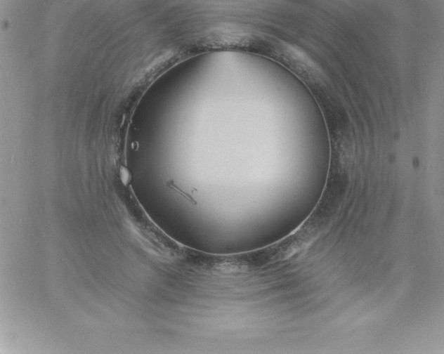 X0000060750546200511241706