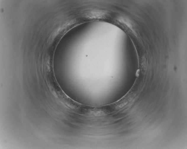 X0000060750547200511241706