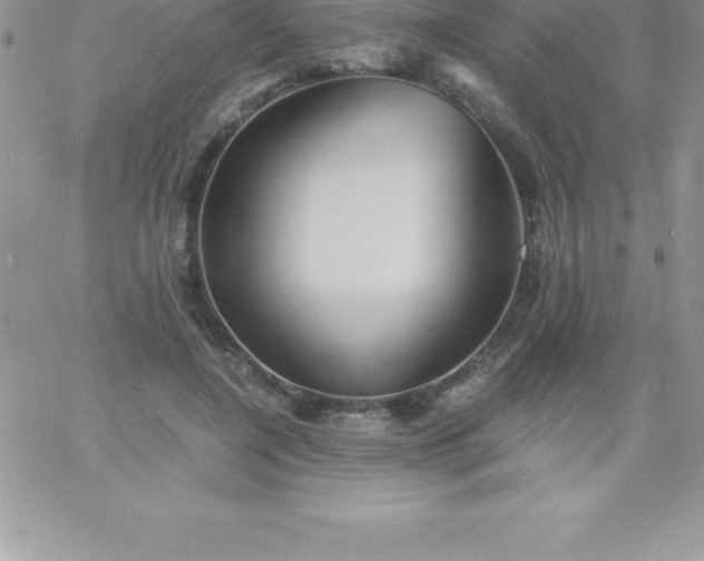 X0000060750548200511241706