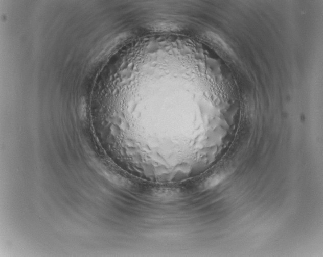 X0000060750549200511241706