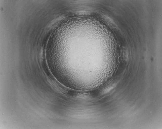 X0000060750550200511241706