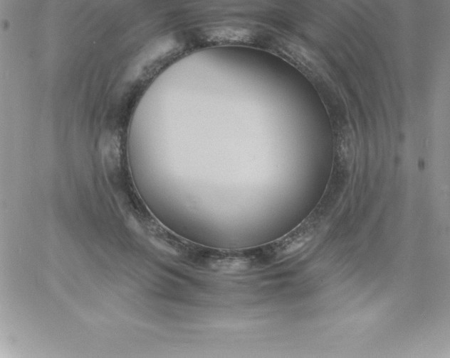 X0000060750551200511241706