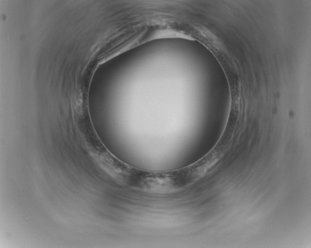 X0000060750552200511241706