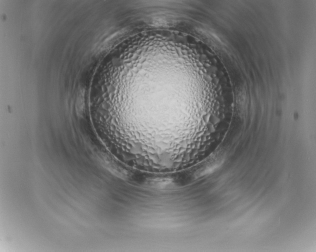 X0000060750554200511241706