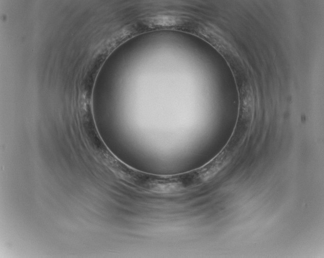 X0000060750555200511241706