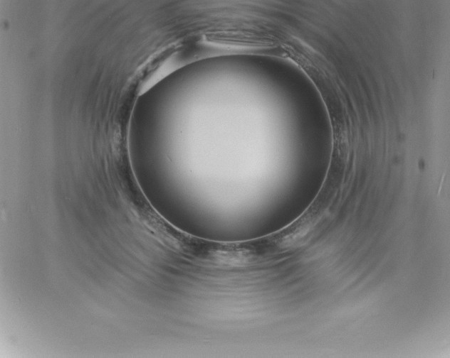 X0000060750556200511241706