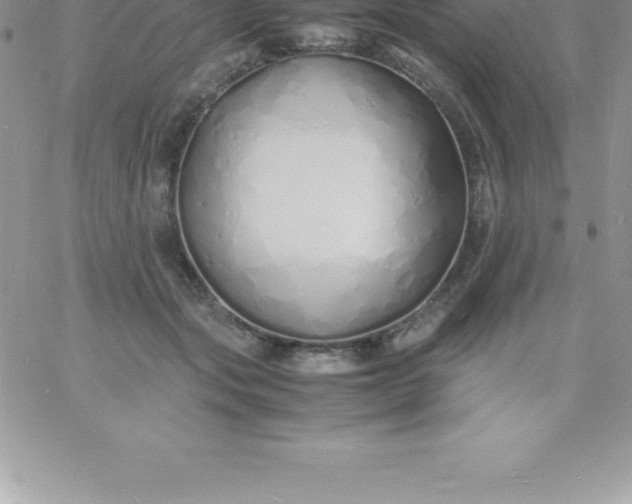 X0000060750557200511241706