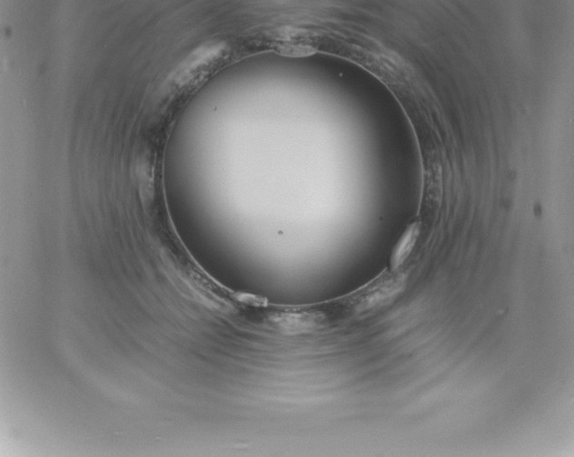 X0000060750558200511241706