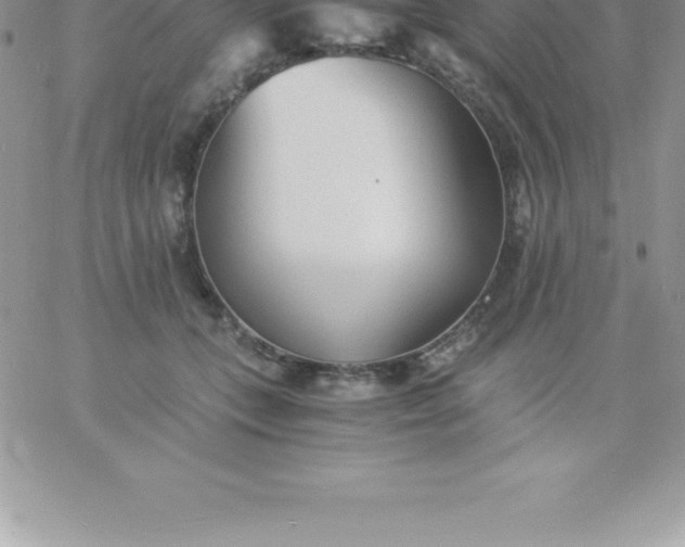 X0000060750559200511241706