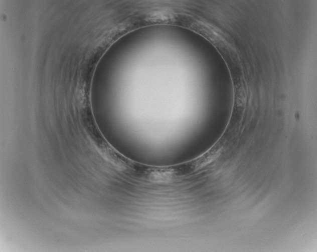 X0000060750560200511241706