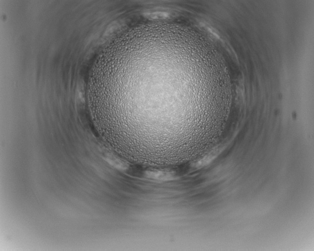 X0000060750561200511241706