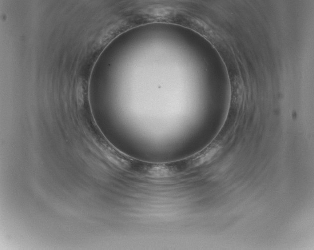 X0000060750562200511241706