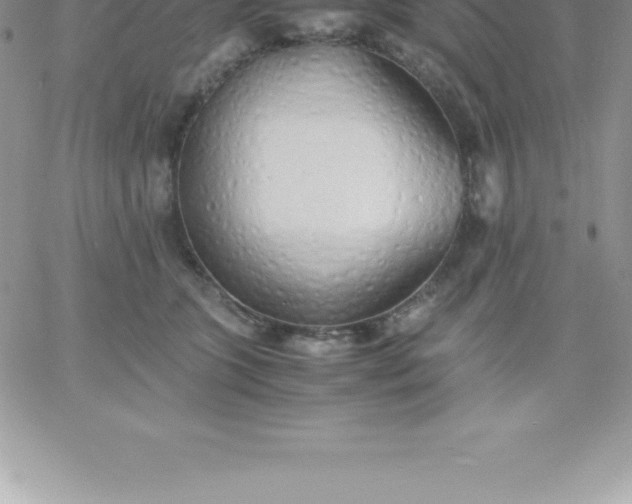 X0000060750563200511241706