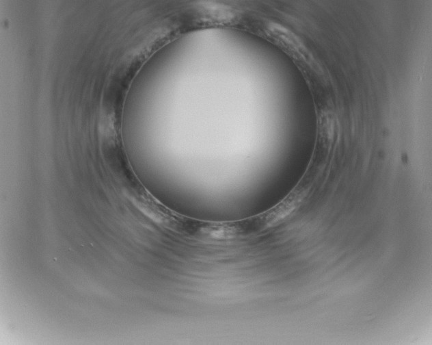 X0000060750564200511241706