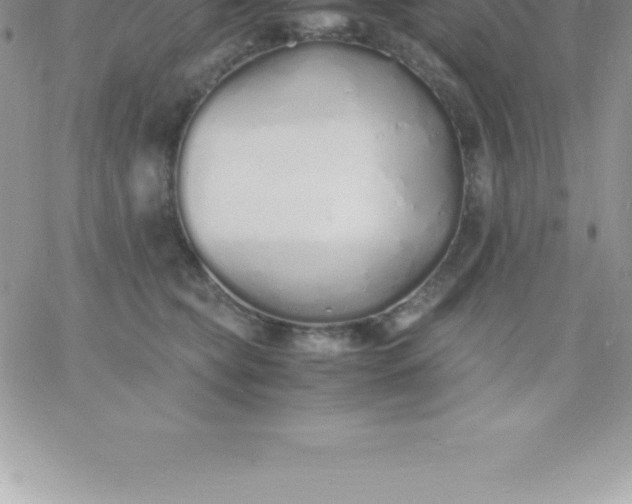 X0000060750565200511241706