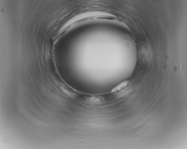 X0000060750566200511241706