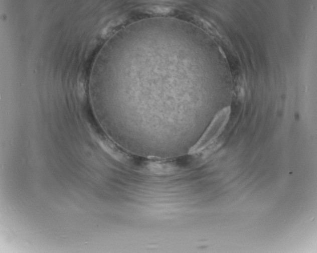 X0000060750568200511241706