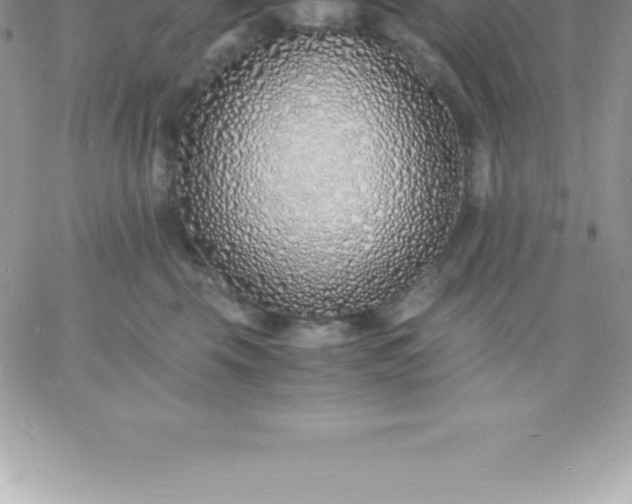 X0000060750569200511241706