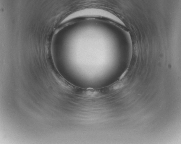 X0000060750570200511241706