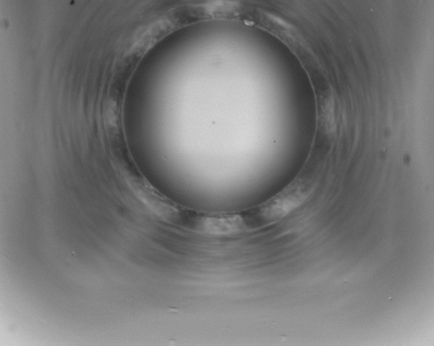 X0000060750571200511241706