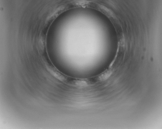 X0000060750572200511241706