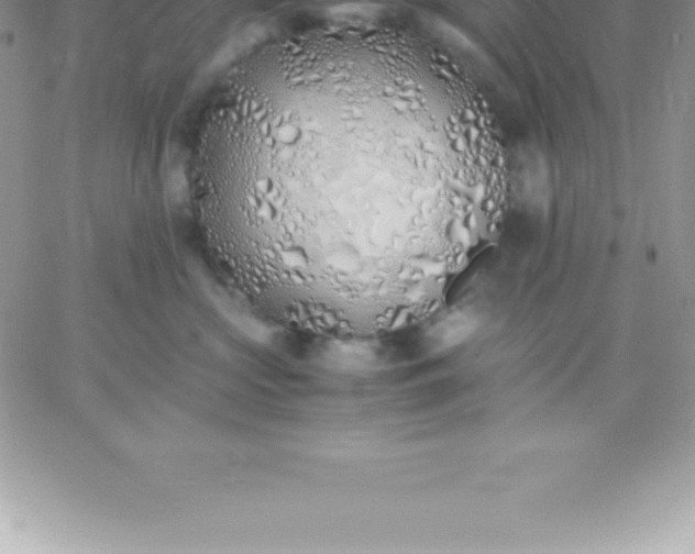 X0000060750573200511241706