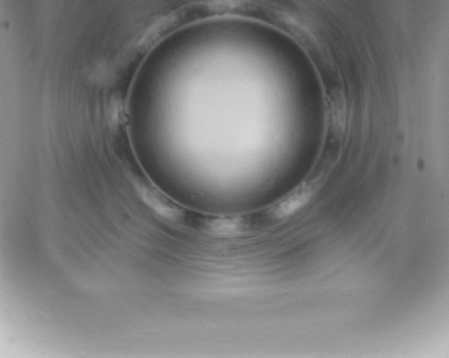 X0000060750574200511241706