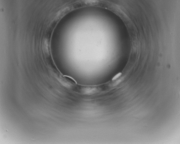 X0000060750575200511241706