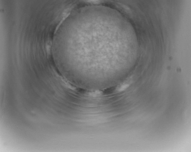 X0000060750576200511241706