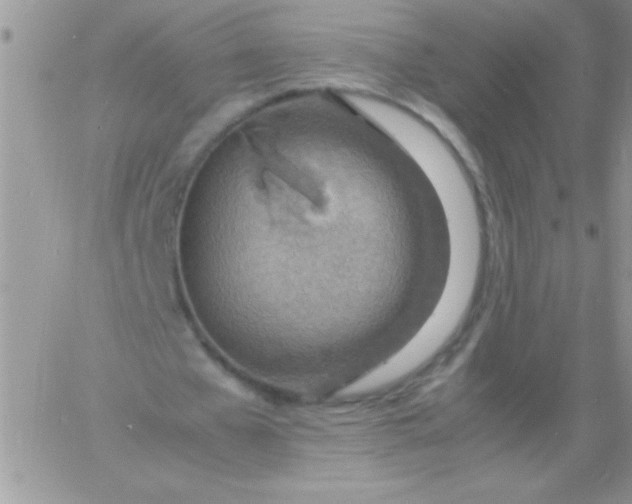 X0000060750577200511241705