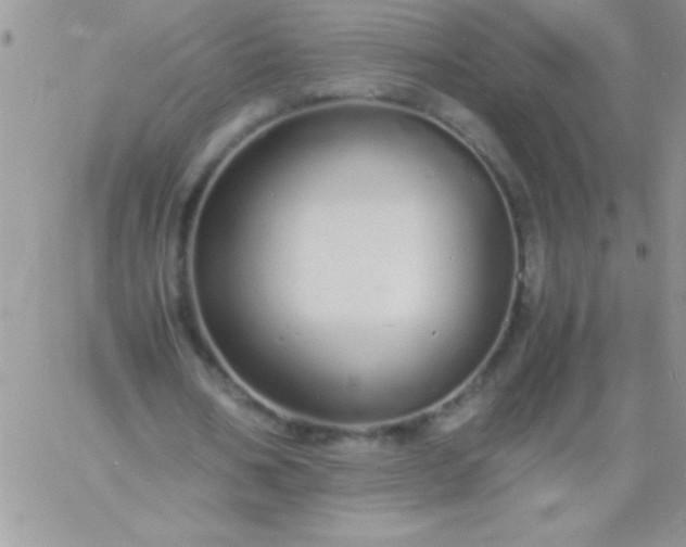 X0000060750578200511241705