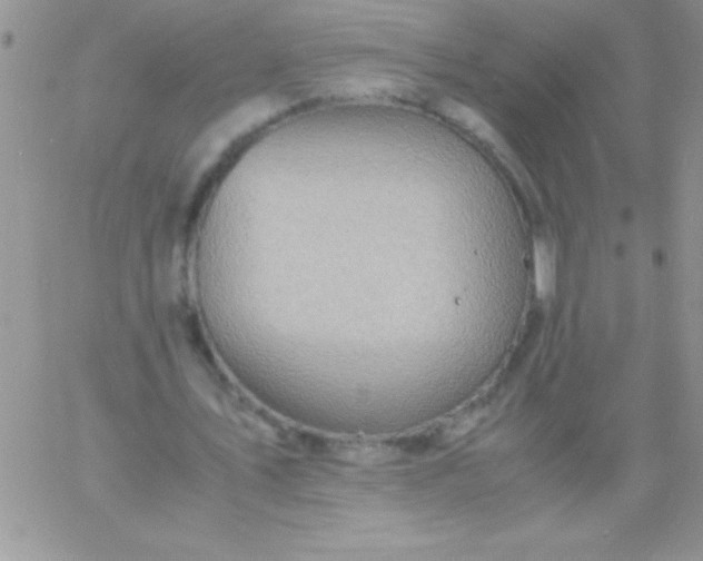 X0000060750579200511241705