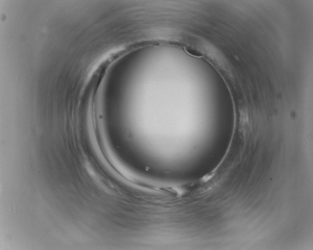 X0000060750580200511241705