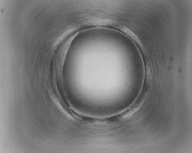 X0000060750581200511241705