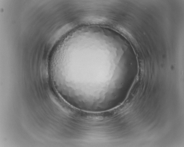 X0000060750582200511241705