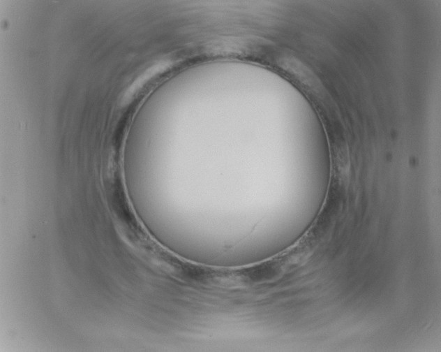 X0000060750583200511241705