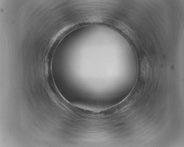 X0000060750584200511241705