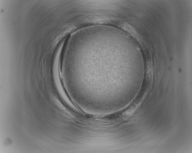 X0000060750585200511241705