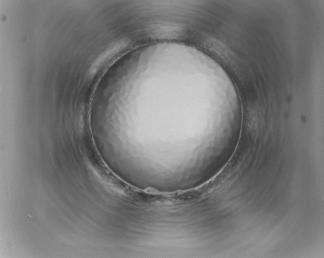 X0000060750586200511241705