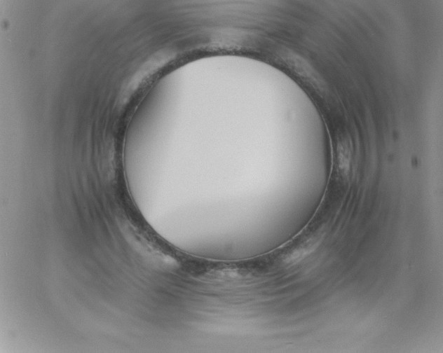 X0000060750588200511241705