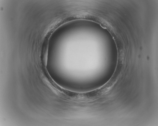 X0000060750589200511241705