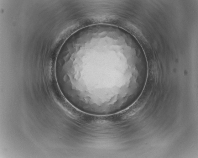 X0000060750590200511241705