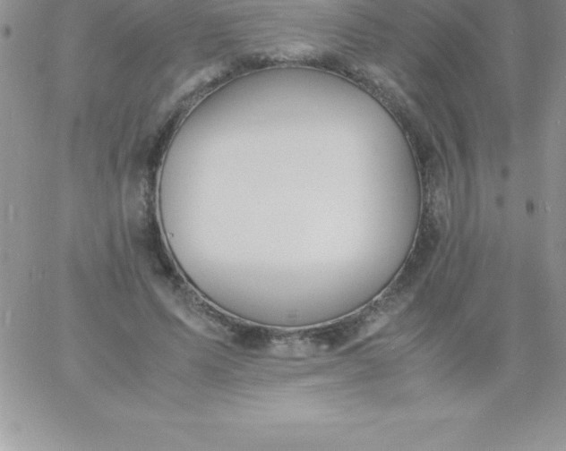 X0000060750591200511241705