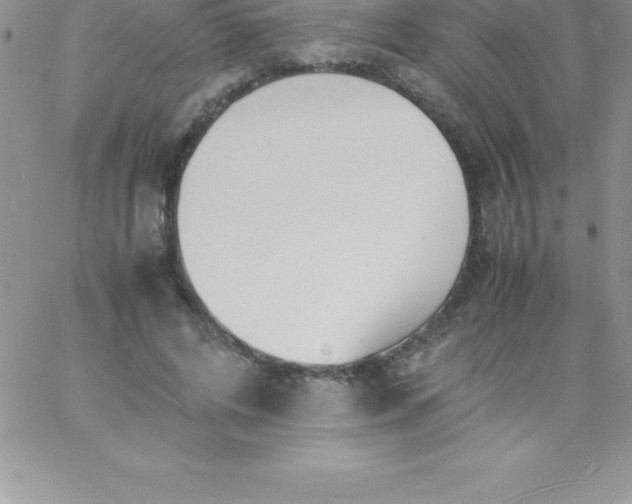 X0000060750592200511241705