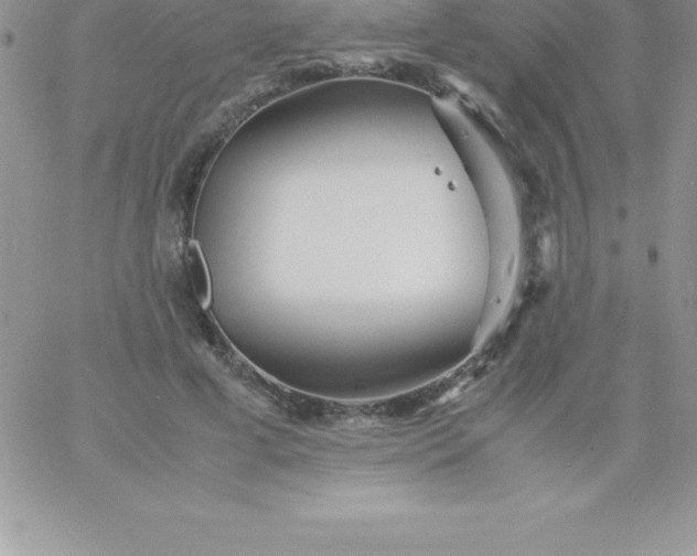 X0000060750593200511241705