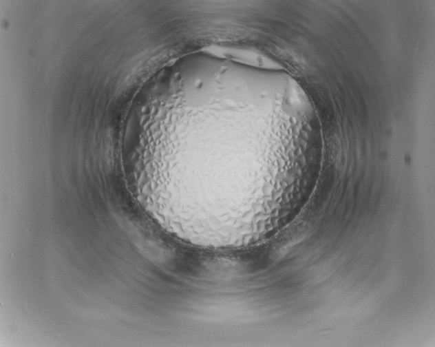 X0000060750594200511241705