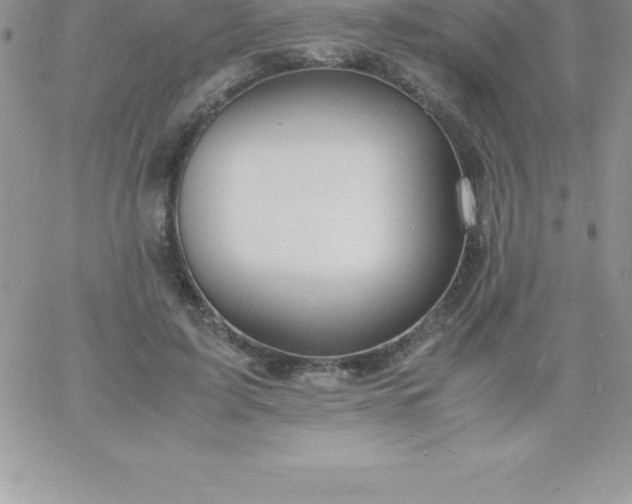 X0000060750595200511241705